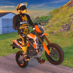 Play online Motocross Driving Simulator