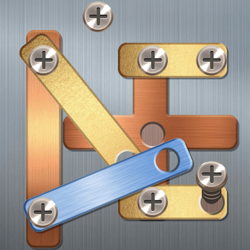 Play online Screw Puzzle